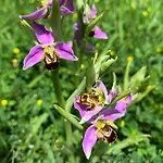 酒店 奥特泰克斯酒店 2*