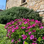 奥特泰克斯酒店 酒店