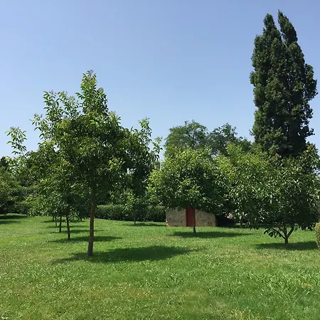Artetxe 2*