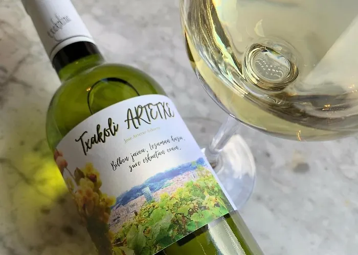 奥特泰克斯酒店 2*