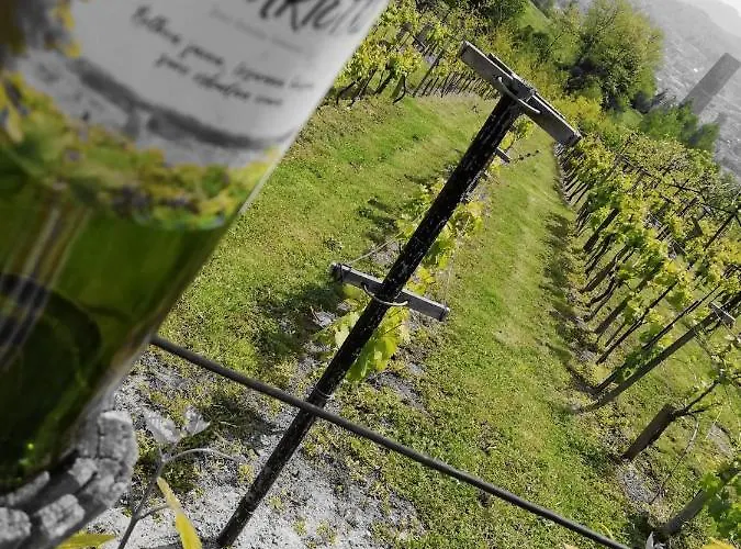 아르테트세 호텔