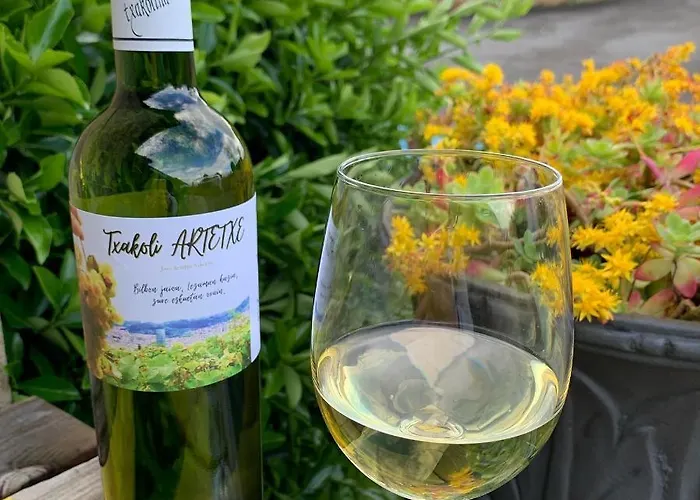 호텔 아르테트세