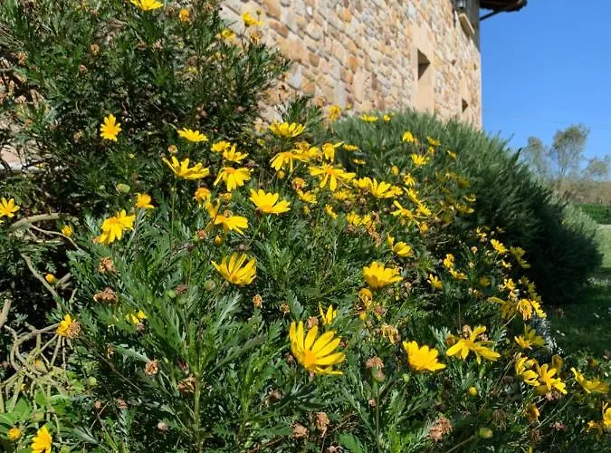 아르테트세 빌바오