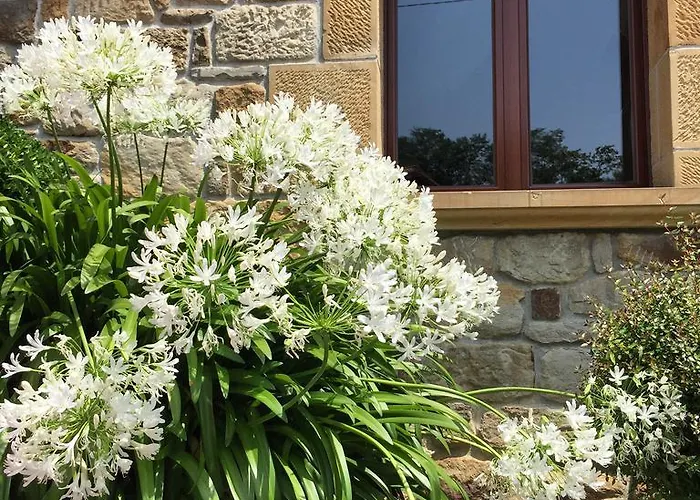 아르테트세 호텔 2*