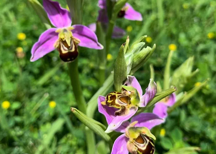 Отель Artetxe 2*