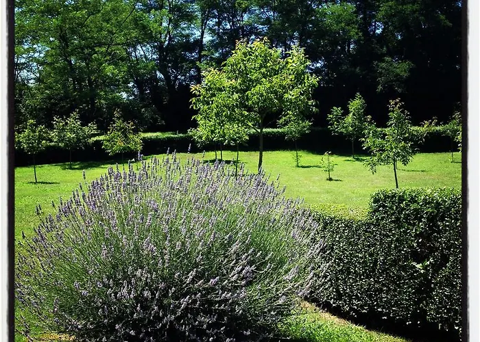 Artetxe Отель 2*