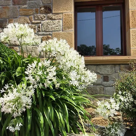 Artetxe Szálloda 2*